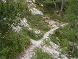 Najberž - Alpengasthof Siebenhütten